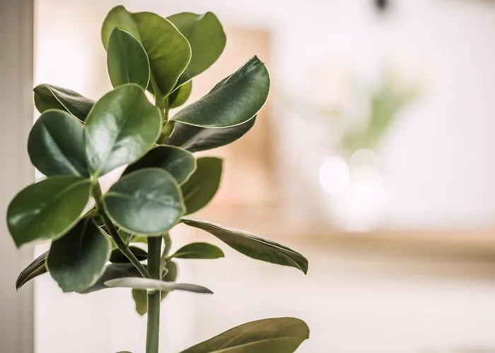 Neschtl 람자우 임 질러탈